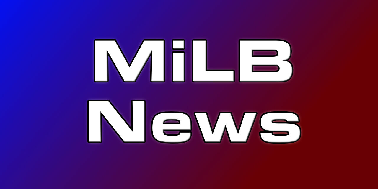 Minor League Baseball Postponed Indefinitely