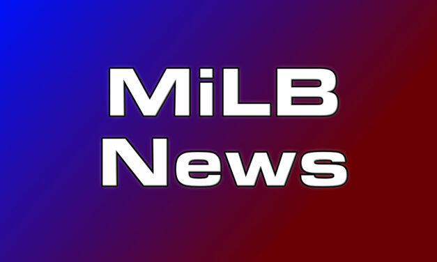 Minor League Baseball Postponed Indefinitely